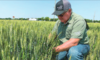 Kevin Graham, a district sales manager for Wehmeyer Seed in Mascoutah, evaluates a wheat field near Coulterville in Randolph County during the Southern Illinois Wheat Tour earlier this summer
